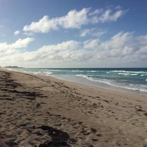 Meet your Posher, Nicholas